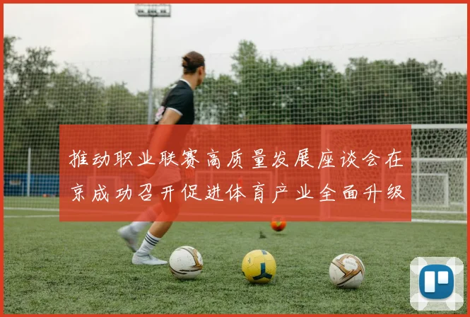 推动职业联赛高质量发展座谈会在京成功召开促进体育产业全面升级与创新发展